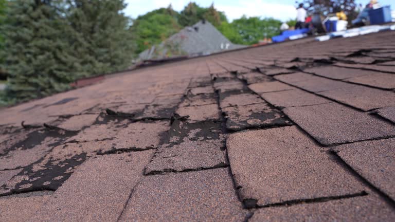 Best Slate Roofing  in Toona, AL