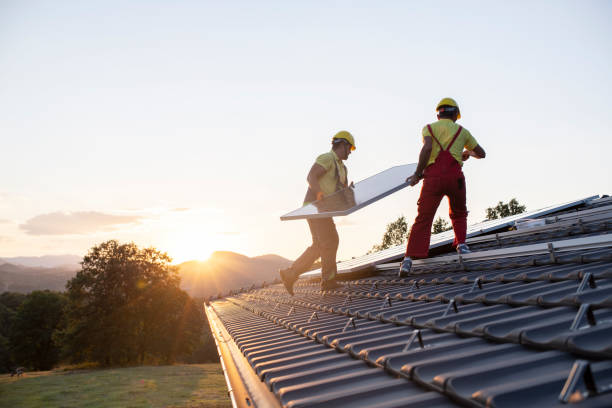 Best Roof Moss and Algae Removal  in Toona, AL