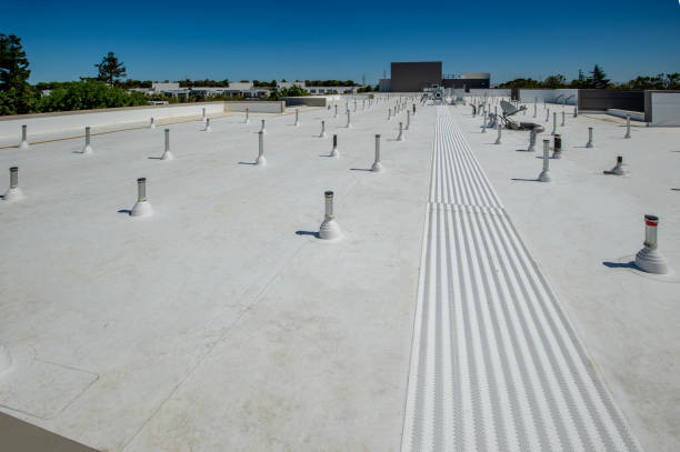Best 4 Ply Roofing  in Toona, AL